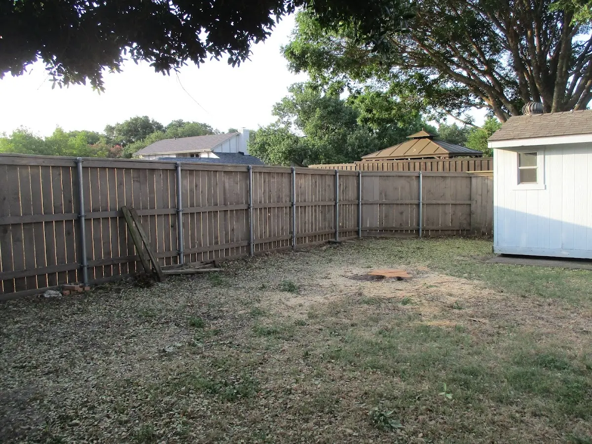 Cleared yard after professional tree removal in Carpenter