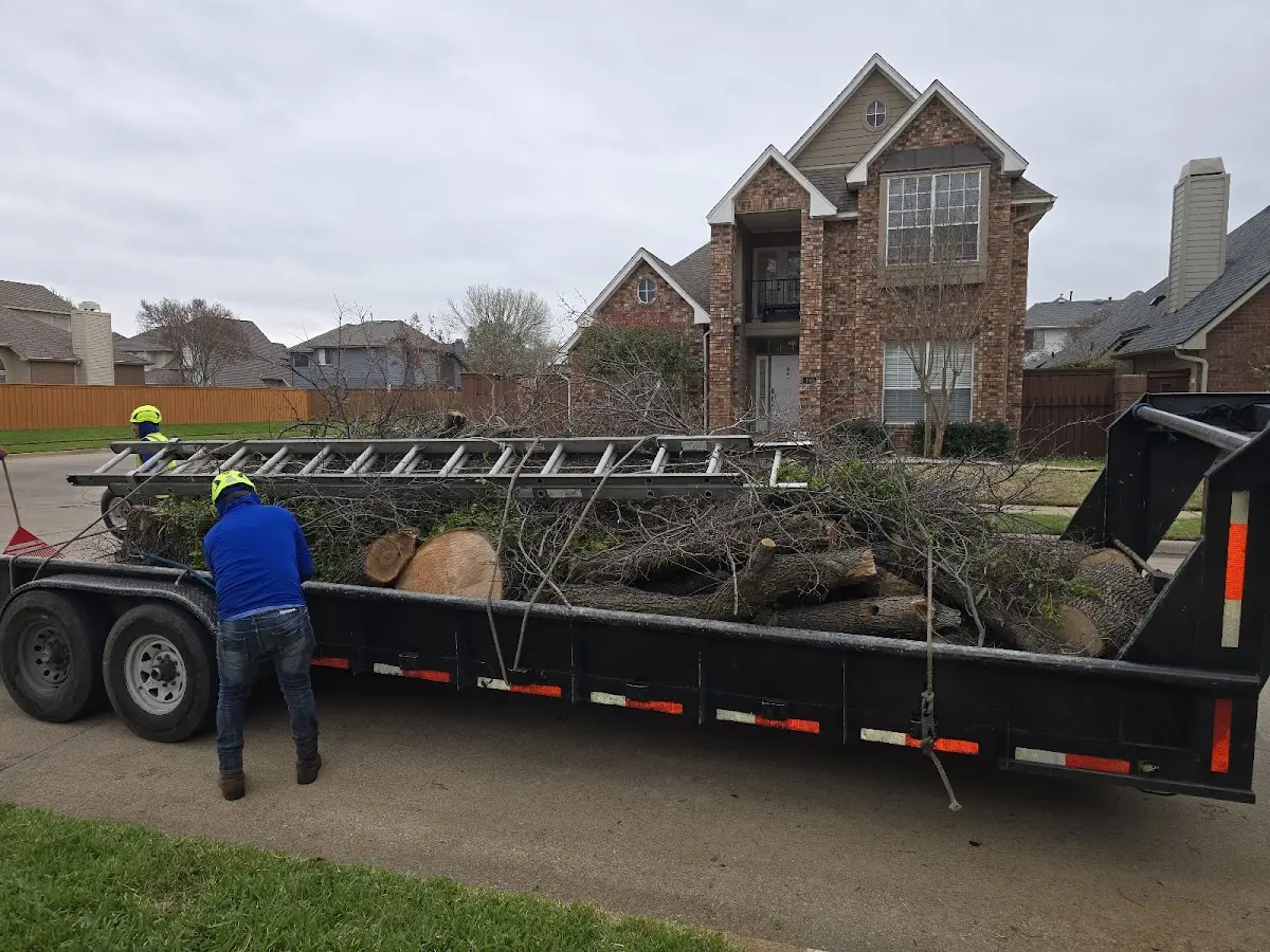Expert Tree Fertilization with proper safety equipment in Carpenter